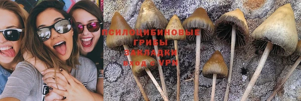герыч Алексин
