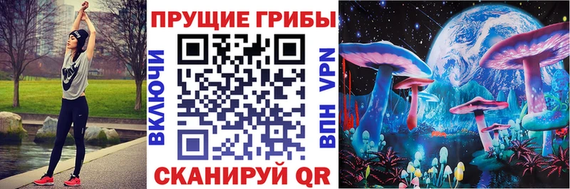 Галлюциногенные грибы Psilocybe Богородицк