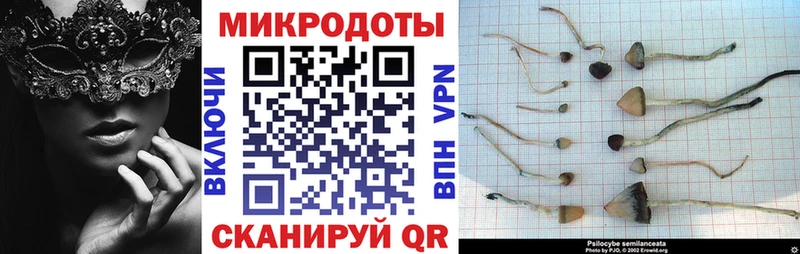 Псилоцибиновые грибы MAGIC MUSHROOMS  Богородицк 